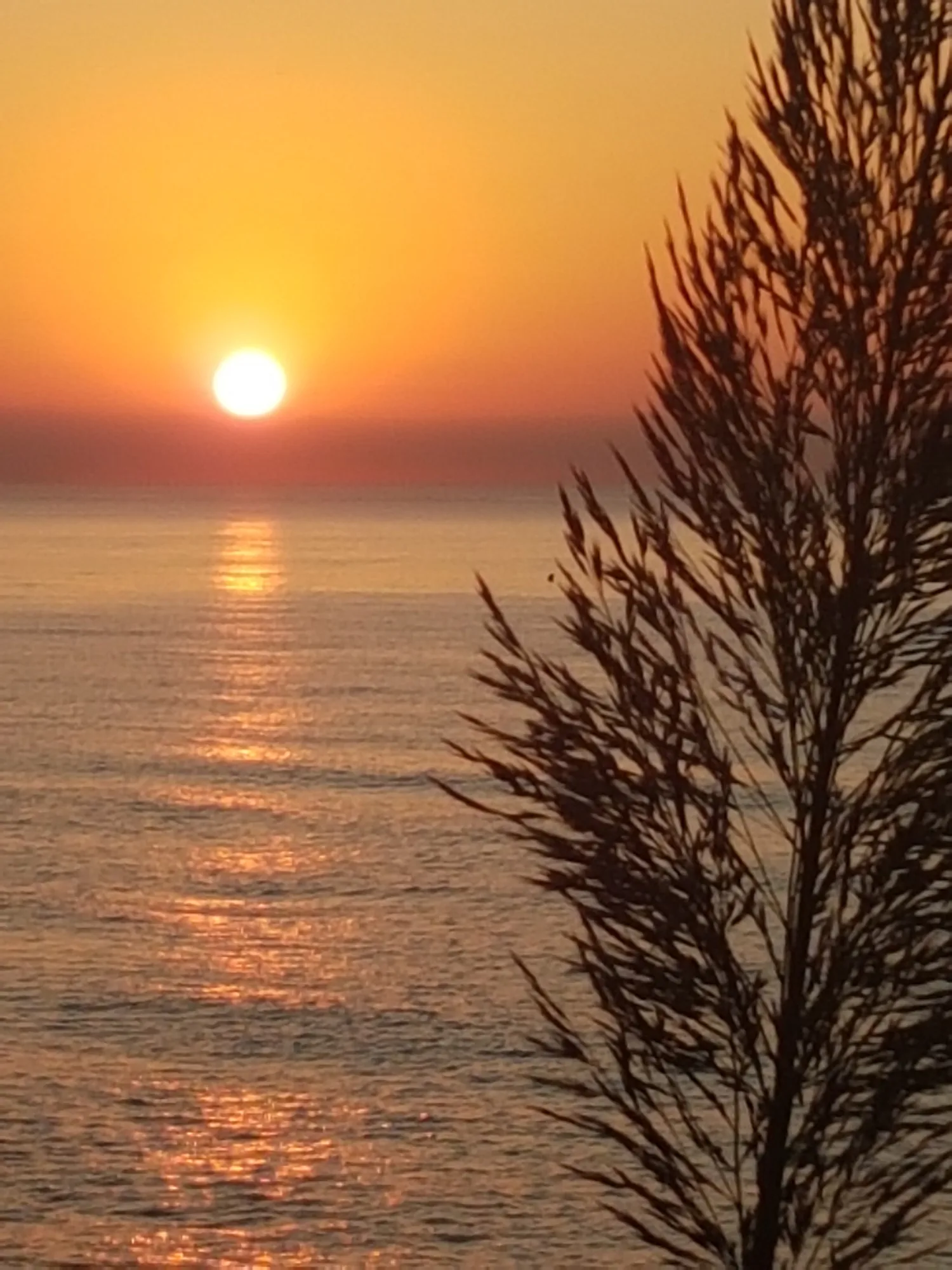 Sol bajo sobre el mar con su reflejo anaranjado y un plumero en silueta en Chilches