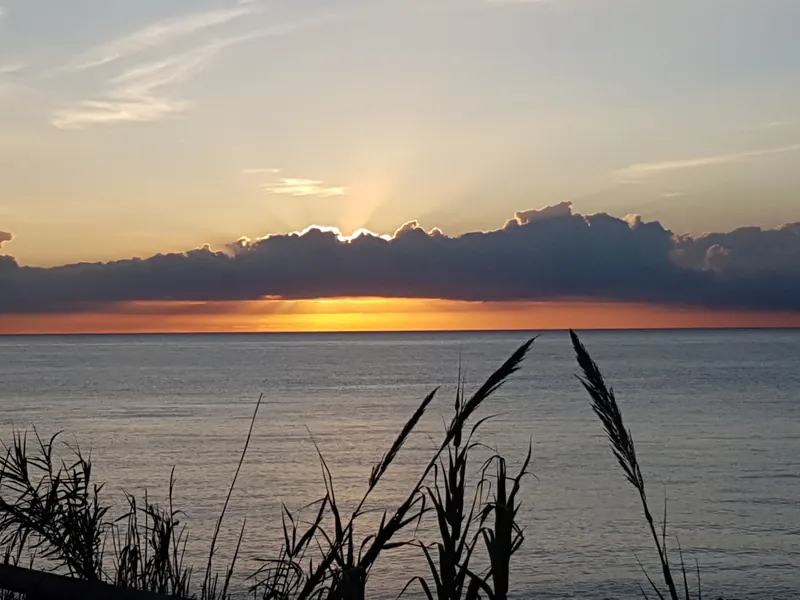 Franja de luz dorada bajo las nubes sobre el mar, con cañas recortadas en primer plano