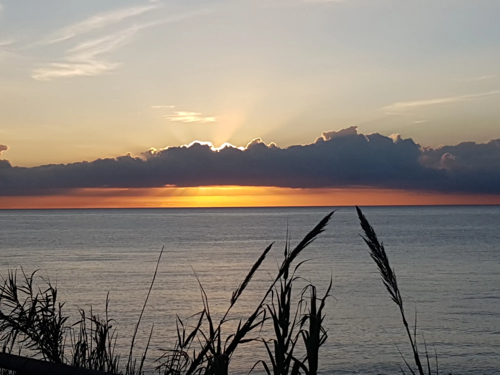 Franja de luz dorada bajo las nubes sobre el mar, con cañas recortadas en primer plano en Valle-Niza