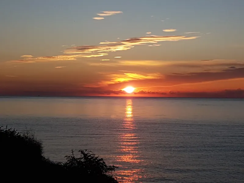 Sol naciente sobre el mar con el cielo anaranjado y una silueta de vegetación en primer plano