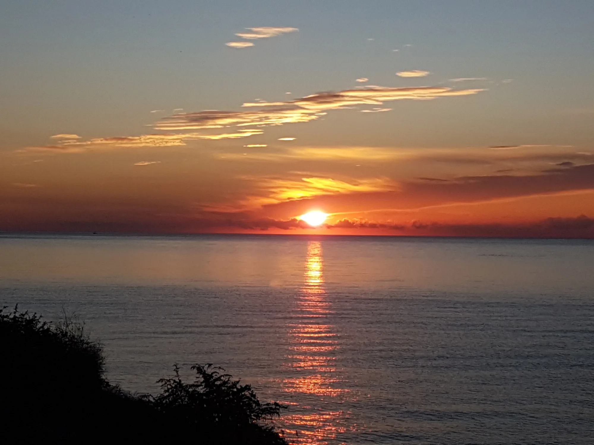 Sol naciente sobre el mar con el cielo anaranjado y una silueta de vegetación en primer plano