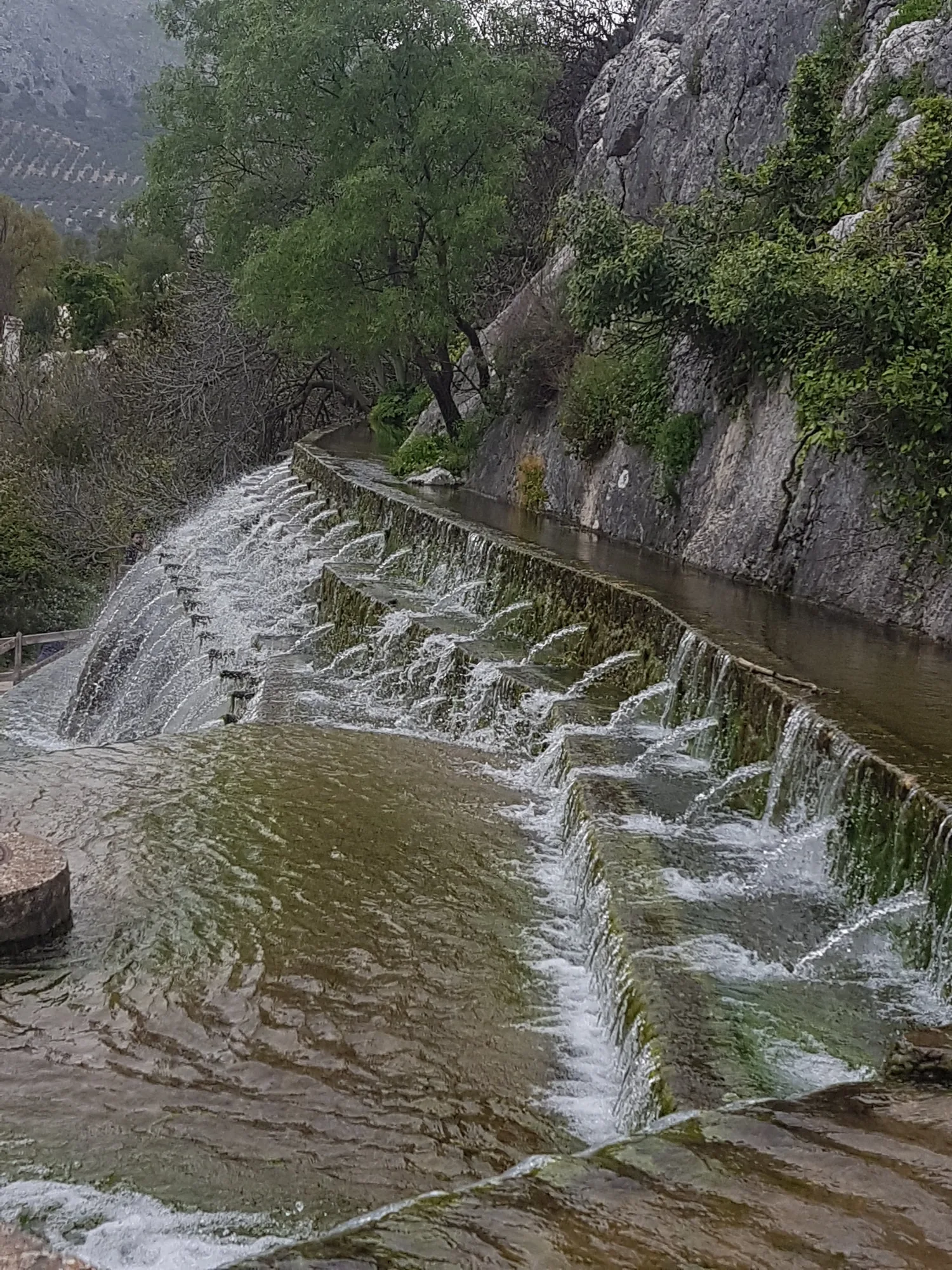 Agua cayendo por un canal escalonado junto a una pared de roca y vegetación en Fuente de los cien caños