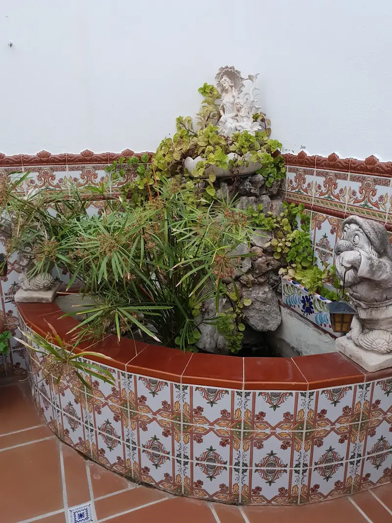 Fuente circular decorada con azulejos y plantas en un patio blanco
