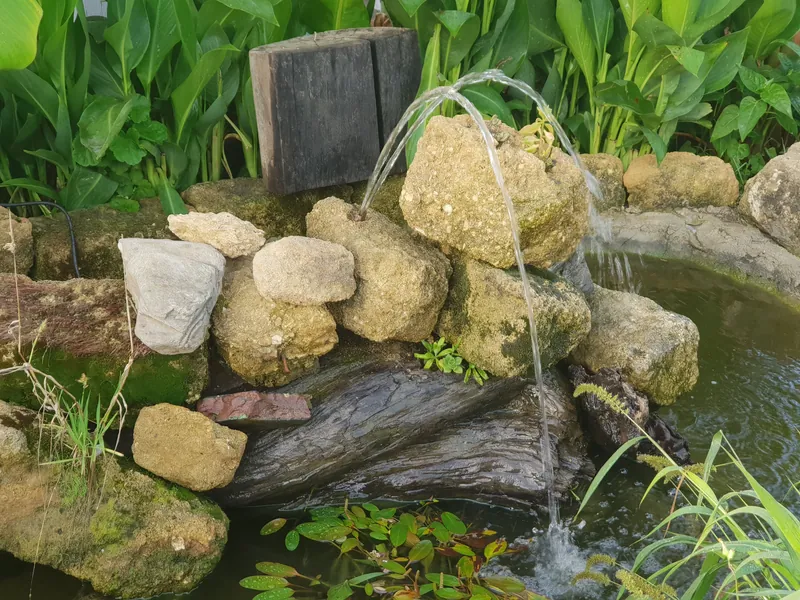 Pequeño estanque de piedra con una fuente que forma un arco de agua entre plantas