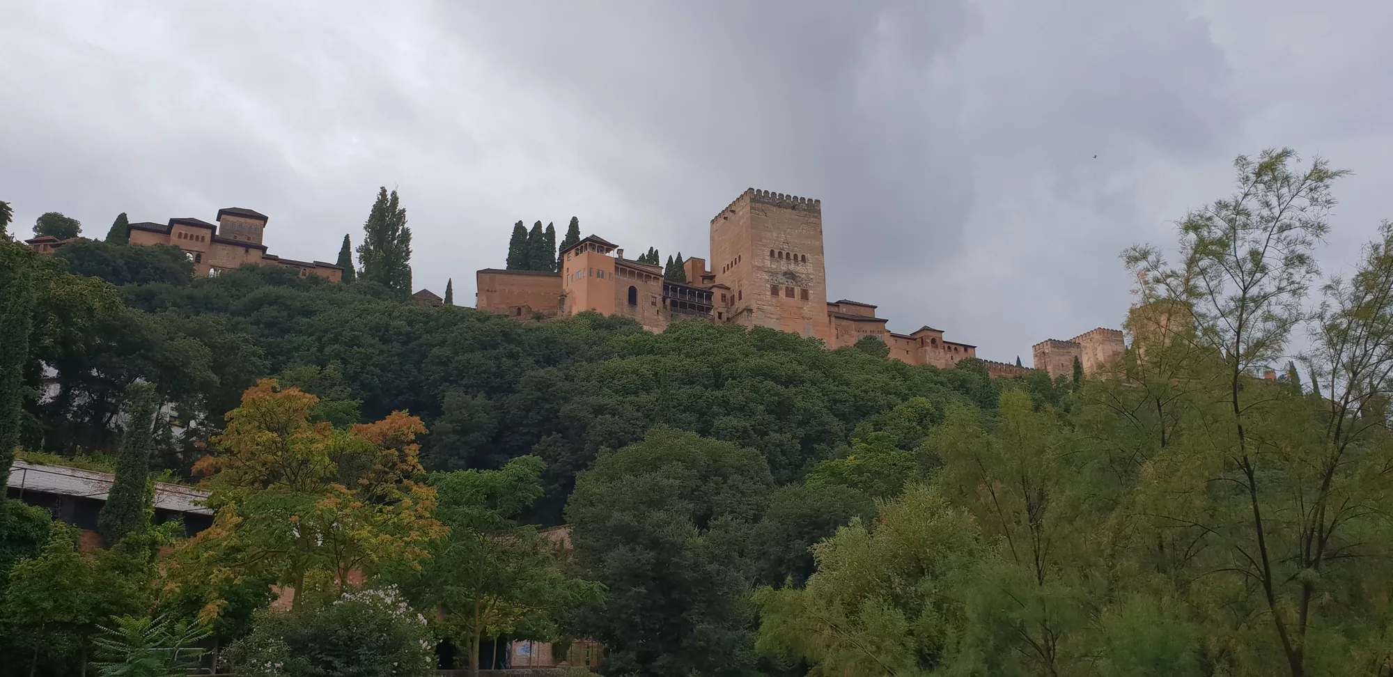 La Alhambra sobre una colina rodeada de árboles bajo un cielo nublado en Granada