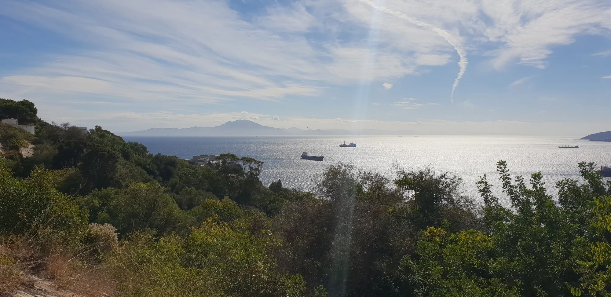 Mar plateado con barcos lejanos y la silueta de una montaña al fondo, entre árboles en La Línea de la Concepción