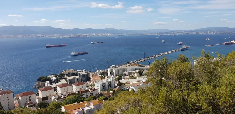 Vista elevada de una bahía con barcos mercantes y una población costera