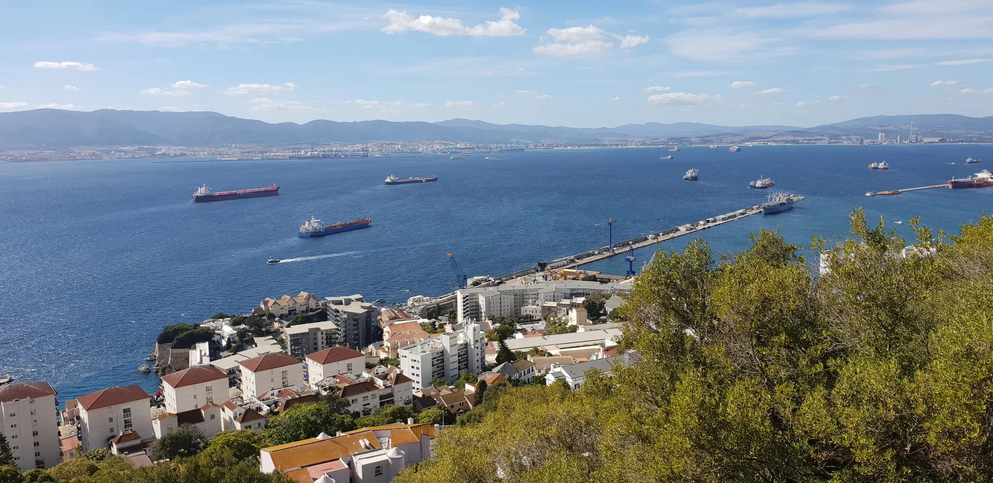 Vista elevada de una bahía con barcos mercantes y una población costera en La Línea de la Concepción