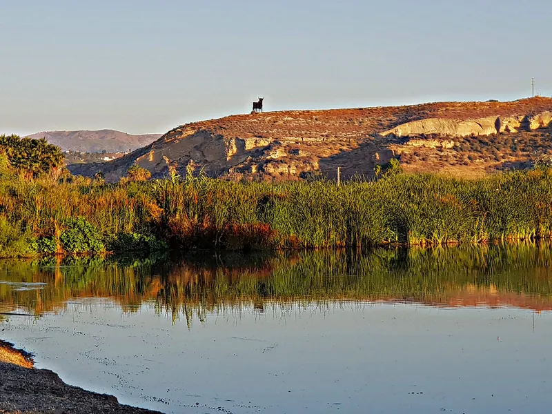 Laguna con cañaverales que se reflejan en el agua y, sobre la colina, la silueta de un toro