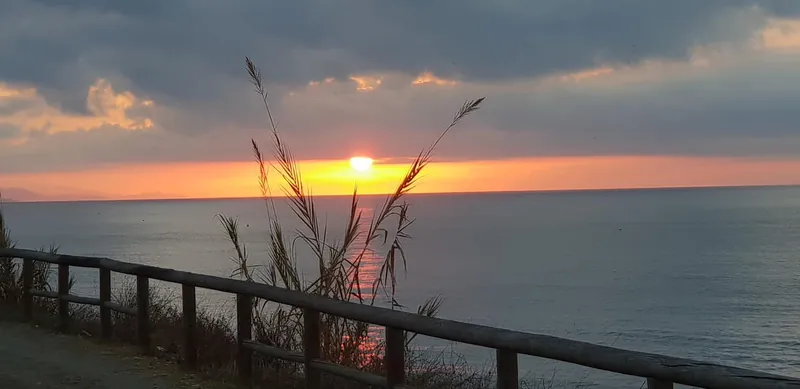Sol poniéndose sobre el mar con cañas y una valla de madera en primer plano
