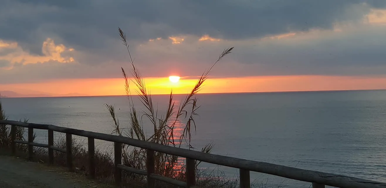 Sol poniéndose sobre el mar con cañas y una valla de madera en primer plano en Valle-Niza