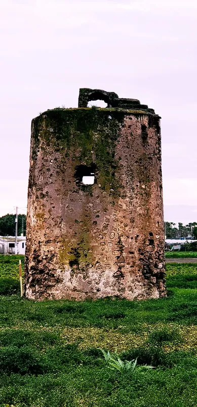 Torre de piedra cubierta de musgo sobre un prado verde