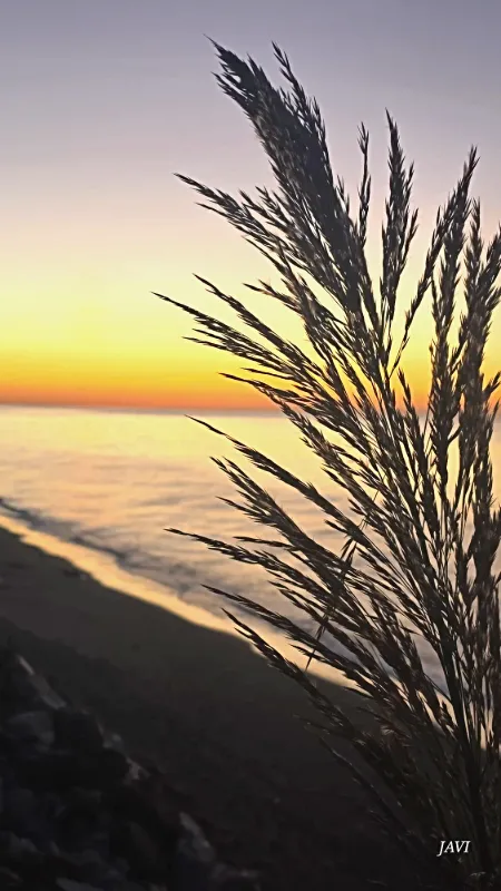 Amanecer sobre la playa de Chilches