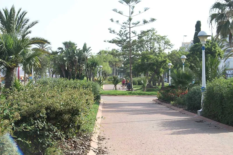 Paseo con palmeras y jardines junto a la playa