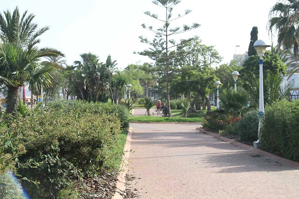Paseo con palmeras y jardines junto a la playa en Torre del Mar