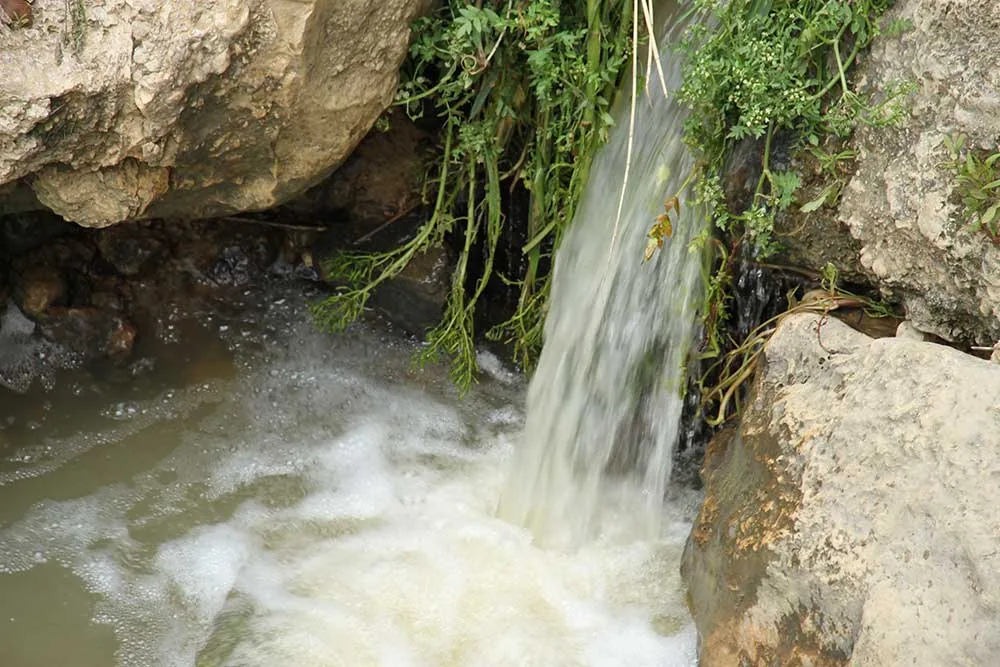 Cascada de agua entre rocas y vegetación en Canillas de Aceituno